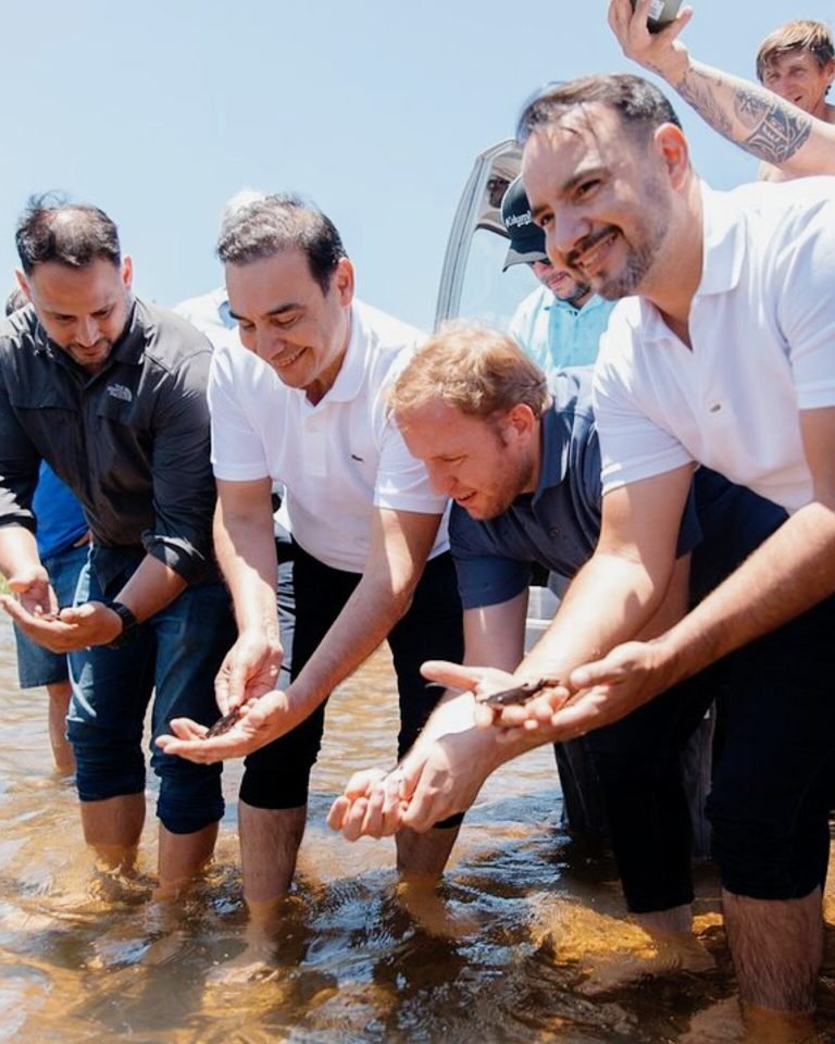 Alevines de Surubí en el Río Paraná