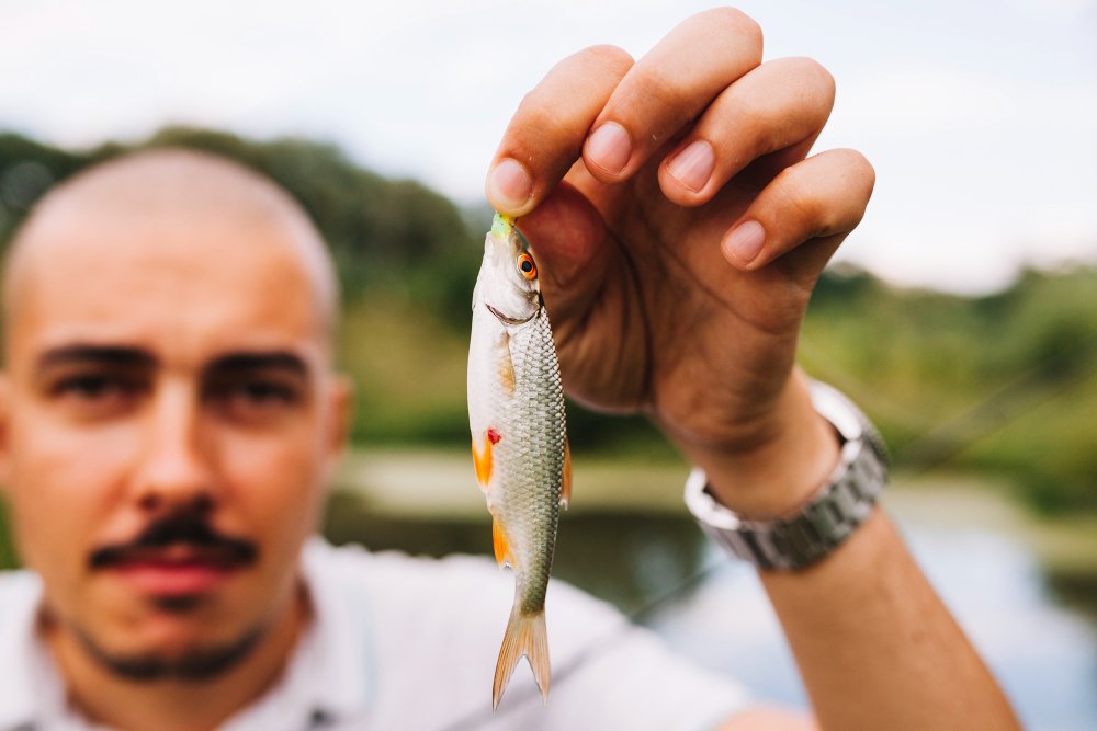 pesca con carnada lombriz